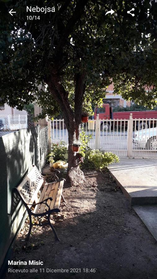 Apartman Milica Požarevac Eksteriør billede