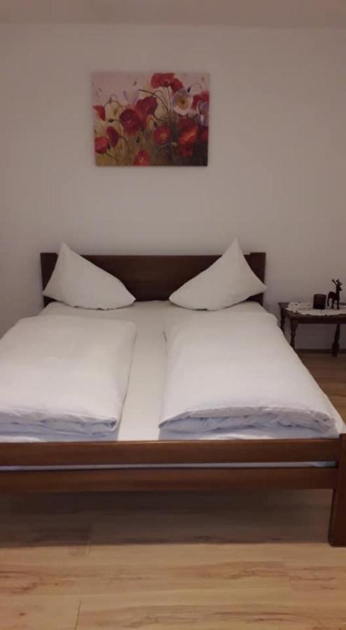 Apartman Milica Požarevac Eksteriør billede